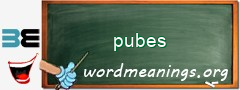 WordMeaning blackboard for pubes